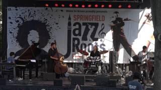 Springfield Jazz & Roots Festival 2016 - Terri Lyne Carrington Group