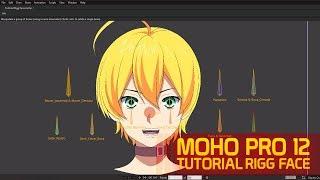 Tutorial Rigg Face | MOHO PRO 12