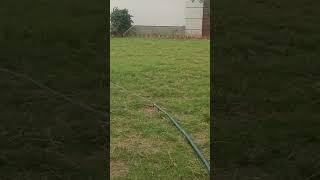 new tech  lawn spray ️ #hinduepic #rain #kota #hindudeity #nature #vihar #hindugod #flood #trend