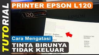 Cara Mengatasi Tinta Biru Epson L120 Tidak Keluar, Sudah Head Clean Tetap Tidak Keluar Normal