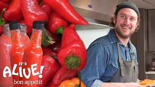 Brad Makes Fermented Hot Sauce | It's Alive | Bon Appétit