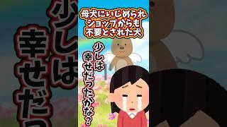 必要とされていなかった犬  　　　　　　　　　　　　　 　.　　　　　　  【 切ない話 泣ける話 感動する話 涙活 実話 】 #2ちゃんねる #2ch #2ch面白いスレ #猫 #犬 #Shorts