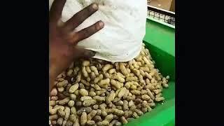 Groundnut shelling machine 300kg/hour