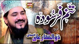 Late Zulfiqar Ali Hussaini Last Video - Tanam Farsooda - Heera Gold