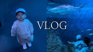 [VLOG] He saw a real baby shark.