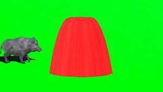 Bull Running green screen |Paint Animals Green Screen| Animals Green Screen Video|