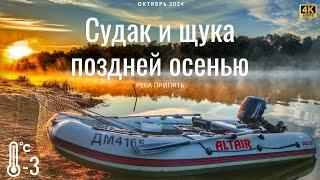 Судак и щука на реке Припять поздней осенью. 2 дня трудовой рыбалки!