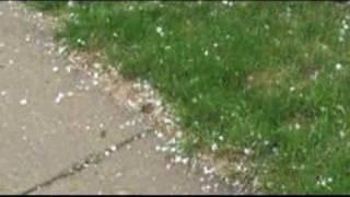 Hail Storm Buffalo - WNYmedia.net