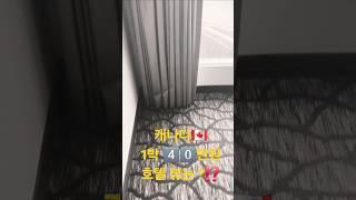 캐나다 1박 4️⃣0️⃣만원 호텔 뷰는 ?⁉️#canada #캐나다여행 #나이야가라 #호텔 #뷰맛집