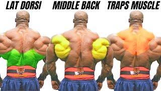 TOP 4 LAT MIDDLE BACK AND TRAPS WORKOUT AT GYM