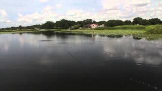 Sebile Action First Bull Minnow Extended Version