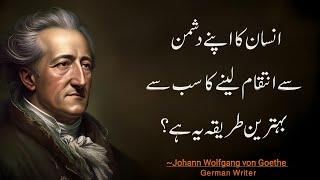 This is the best way for a man to take revenge on his enemy || Johann Wolfgang von Goethe Quotes