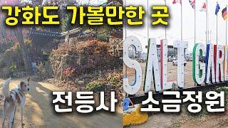 강화도 여행추천 | 반려동물 동반 무료입장 전등사 | 강화도카페추천 소금정원 솔트가든 | 강화도여행 | 강화도 전원주택