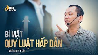 Bạn Đã Hiểu "Quy Luật HẤP DẪN" Của Vĩ Nhân?  Ngô Minh Tuấn | Học Viện CEO Việt Nam