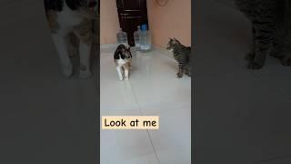 Come back after a few drama classes, then we’ll talk!!! Cops.......