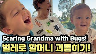 Having a Great Time with Grandchildren️ 장난꾸러기 손주들과 웃음 힐링하는 미국 할머니