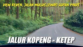 Perjalanan Dari Kopeng Menuju Ketep Pass, View Hutan Pinus & Berkabut