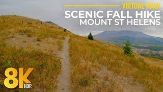 8K HDR Fall Foliage Hike on Hummocks Trail | Mt. St. Helens Wild Forests with Real Nature Sounds