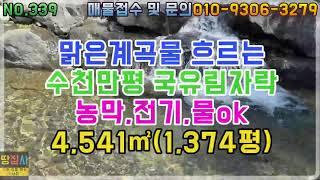 550고지 수백만 평 국유림 자락! 생수처럼 맑은 계곡물! 농막,전기,물 OK! 4,541㎡/1,374평 (영양군 영양읍 토지매매)