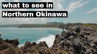 Exploring Northern Okinawa: Cape Hedo, Daisekirinzan, Nago