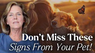 Top 5 Most Unusual Signs From Your Pet In Spirit | Tami Hendrix