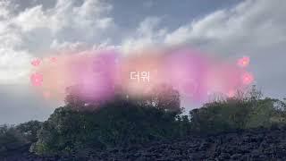 랑기토토섬 탐구생활: 올렸구나.마침내.