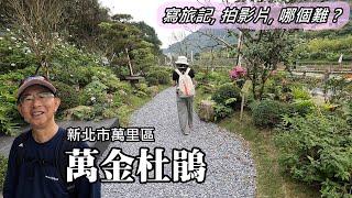 Masu Riverside Trail, visit Wan-Jin Azalea Flower Season! Wanli Distirct, New Taipei City