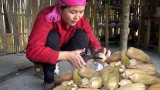 Harvesting the cornfield, boiling and selling it. Free life on the farm