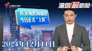 【湾区最新闻】黄茅海跨海通道今日通车 助力湾区一体化发展|黄茅海跨海通道通车 港籍青年返乡更便捷|女子湖边打卡 惨遭无人机撞脸险毁容|20241211完整版#粤语 #news