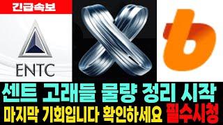 [센트코인] XENT - 긴급속보! 고래들 물량 정리 시작 마지막 기회입니다 확인하세요 필수시청 코미녀TV