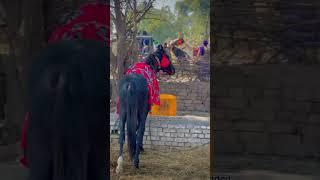 BABA CHARANJEET SINGH JI || DAL BABA BIDHI CHAND SAHIB JI