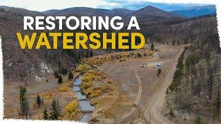 How we are Reviving the Upper River Poudre Watershed | VLOG