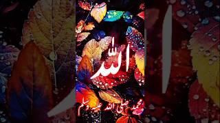 Islamic status 2  ll status # short # shorts #  viral short # rdp islamic status #rdp islamic short