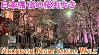 日本橋 夜の桜街歩き