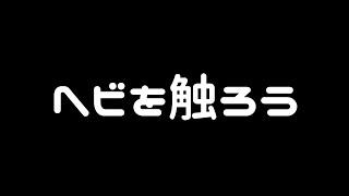 楽しくヘビを触るために