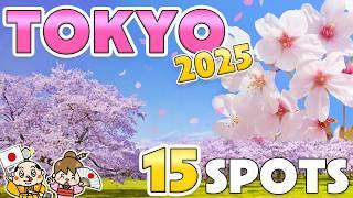 Cherry Blossom Spots in Tokyo 2025 / Things to know before traveling to Japan / Sakura Travel Tips