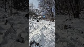 눈 오는 날 캠핑장가면 꼭 해야 하는 것!!! #썰매 #눈사람 #스키장 #썰매장 #funny #일상 #오락 #게임 #camping #감성캠핑 #캠핑가서뭐하지 #캠핑꿀팁 #캠핑추천