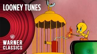 Looney Tunes | Gift Wrapped (1952 Full Episode) | Warner Classics