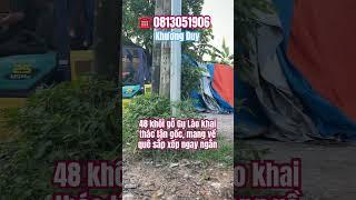 TRƯỜNG KỶ KHƯƠNG DUY TỈNH HÀ NAM UY TÍN VÀ CHUYÊN NGHIỆP, #truongkykhuongduy , ️#0813051906