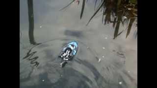 RC Boat Driving [NINCOCEAN RC Sportboot Sea Jet]