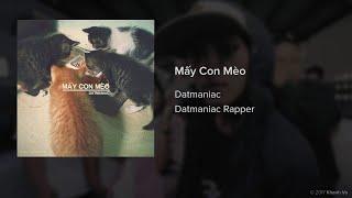 [2G17] Mấy con mèo - Datmaniac