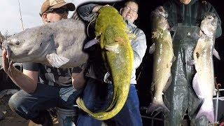 Ultimate FISHING CHALLENGE - 300 lb catfish challenge - How to catch BIG catfish