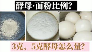 The ratio of yeast to four for steamed buns｜How to measure yeast without an electronic scale？