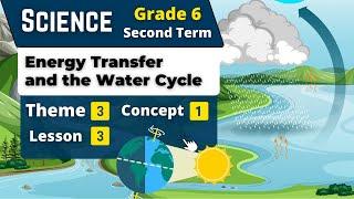 Energy Transfer and the Water Cycle | Grade 6 | Unit 3 - Concept 1 - Lesson 3 | Science