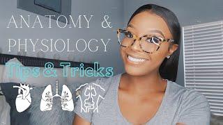 HOW TO GET AN A IN ANATOMY & PHYSIOLOGY  | TIPS & TRICKS | PASS A&P WITH STRAIGHT A'S!