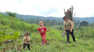 Prepare the netting for the house Moon camp natural life