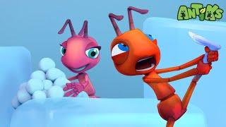 Icy Ants  | Antiks | Science and Nature Cartoons For Kids| Moonbug Kids