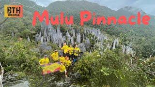 Mulu Pinnacles 全程实拍攀登过程 |  成千上万蝙蝠出洞觅食有多壯观