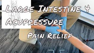 LI 4 Acupressure: Pain Relief - Master Point