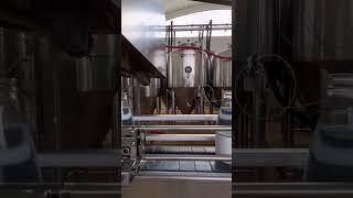 HOW IT WORKS - new soda bottling machine in action #brewery #bottling #tonicwater #craft #shorts